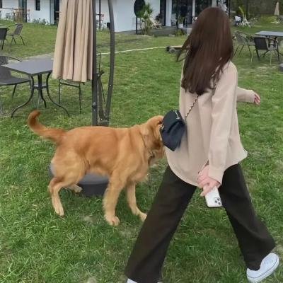 蕾哈娜内衣秀4
